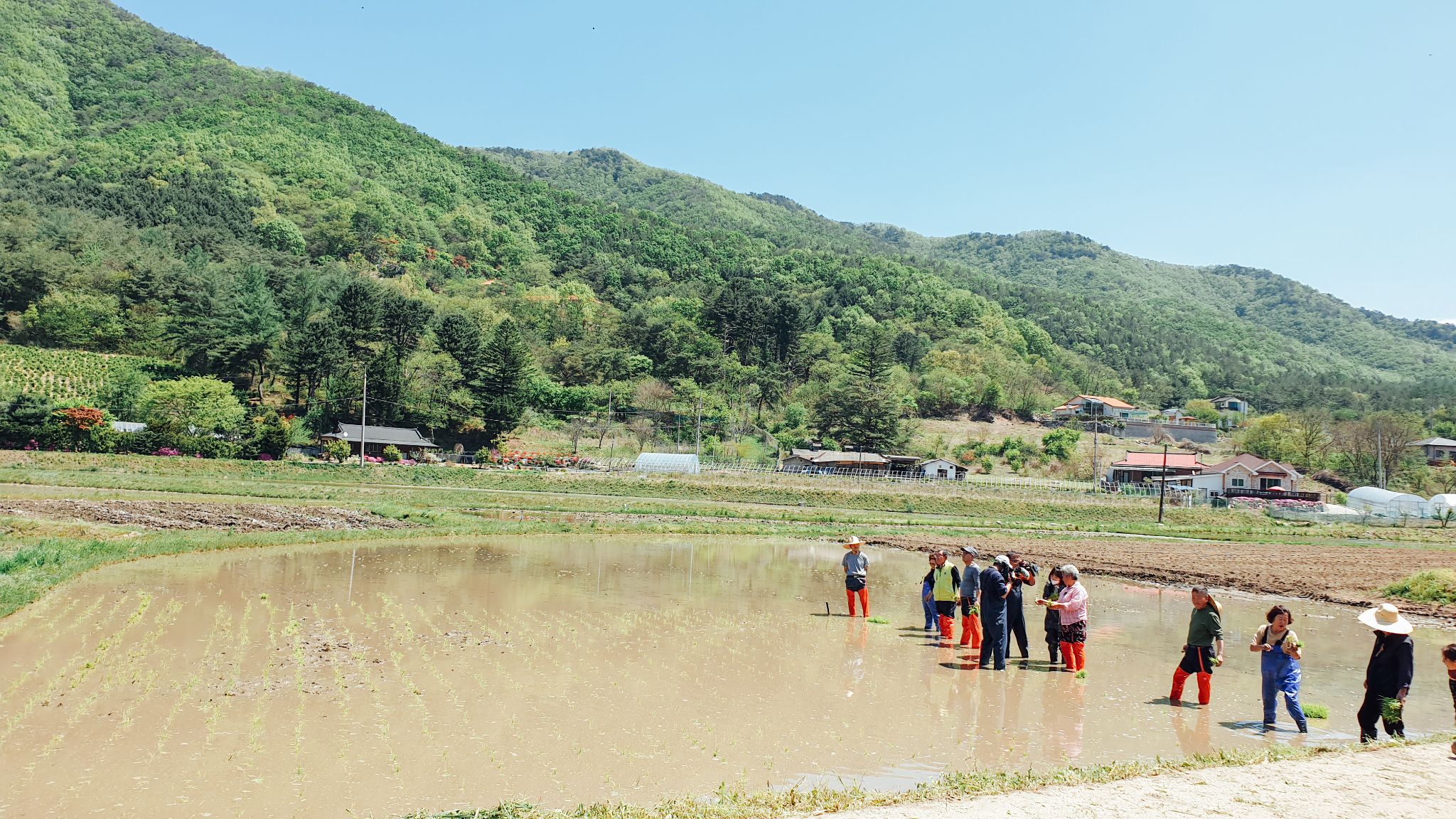 6시 내고향 촬영 34